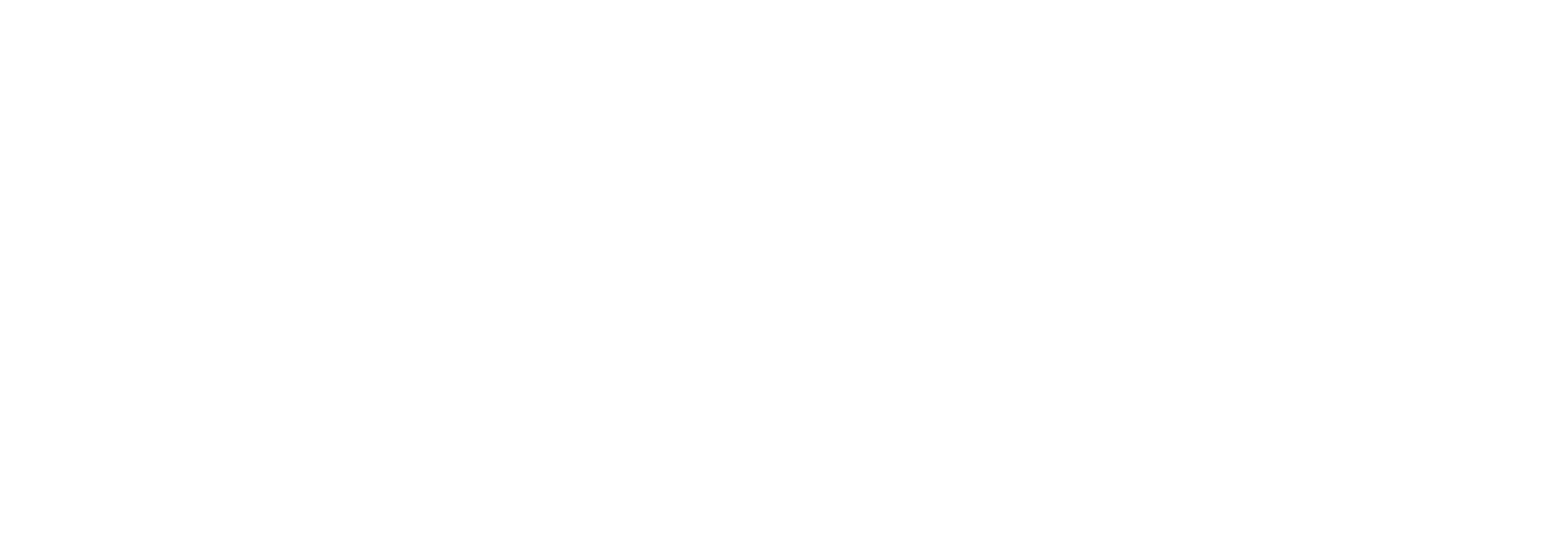 Eagle Eye Home Inspections Logo